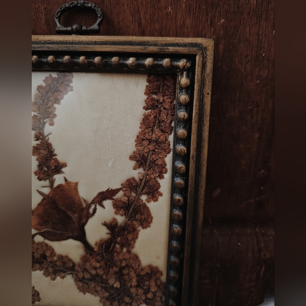 Old Framed Flower Pressed Picture with Cushioned Backing - Picture 2 of 3